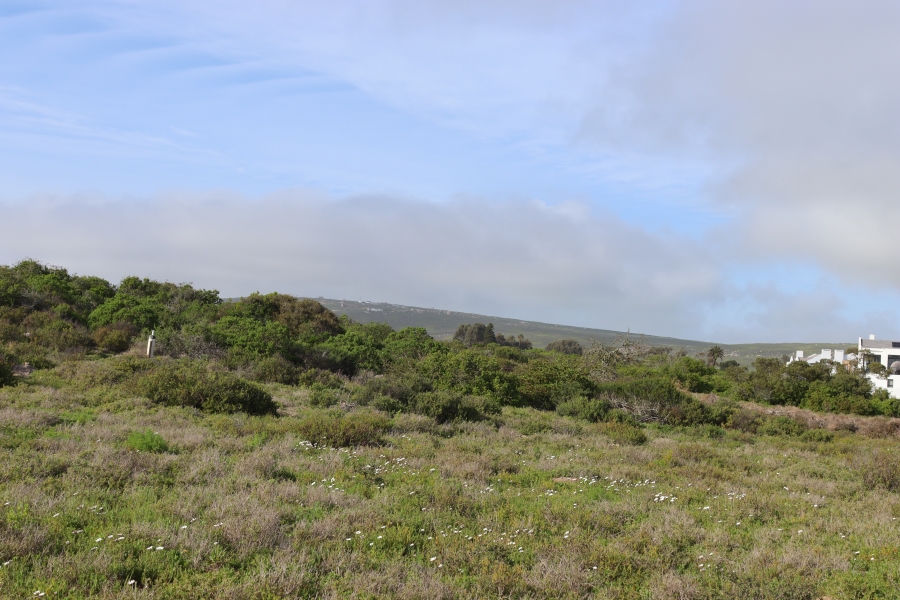 0 Bedroom Property for Sale in Shelley Point Western Cape